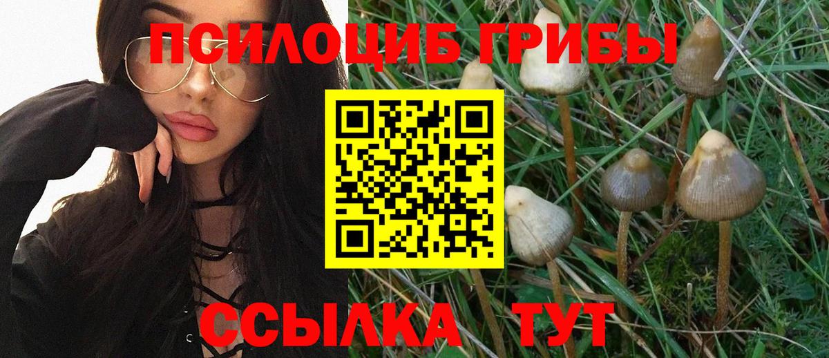 Галлюциногенные грибы MAGIC MUSHROOMS  Галлюциногенные грибы мицелий  Жуковский  Вход с VPN 